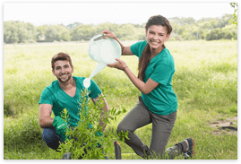 Trees For The Future